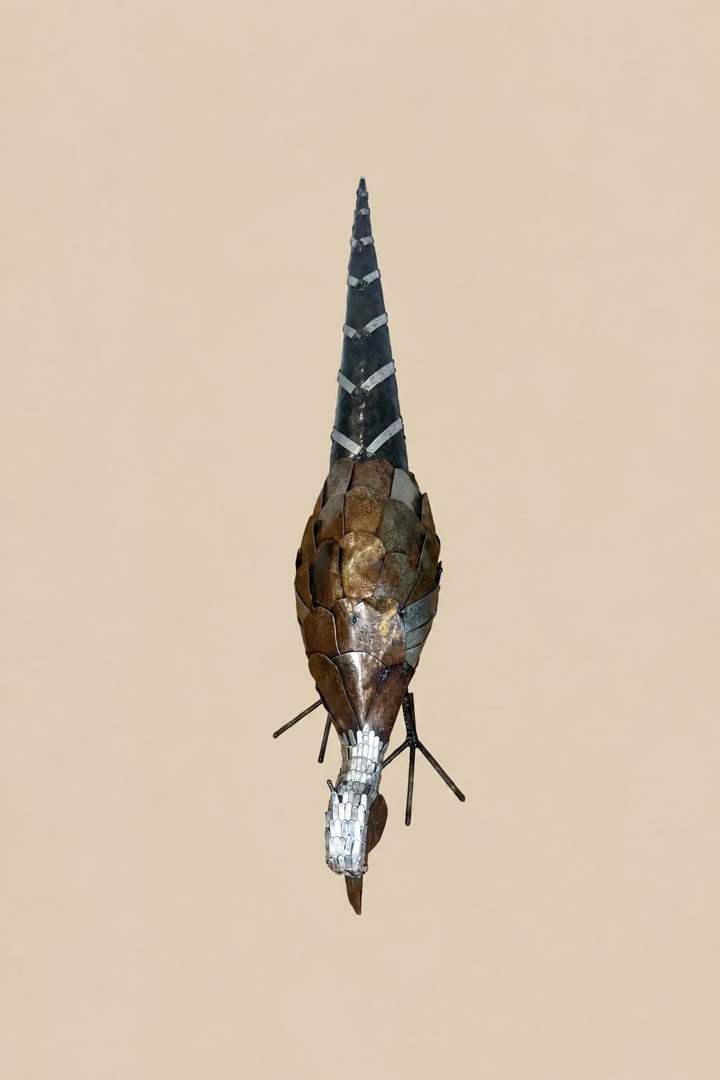 Foraging Pheasant viewed from above, showing overlapping metal plates and its long tapering tail.