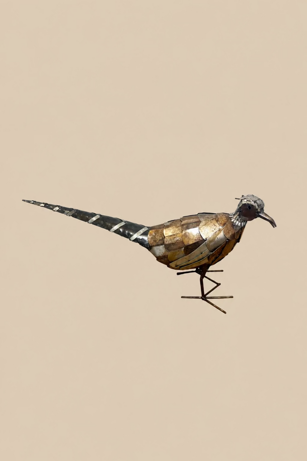 Watchful Pheasant viewed at an angle, showing its curved beak, layered wing and slender metal feet.