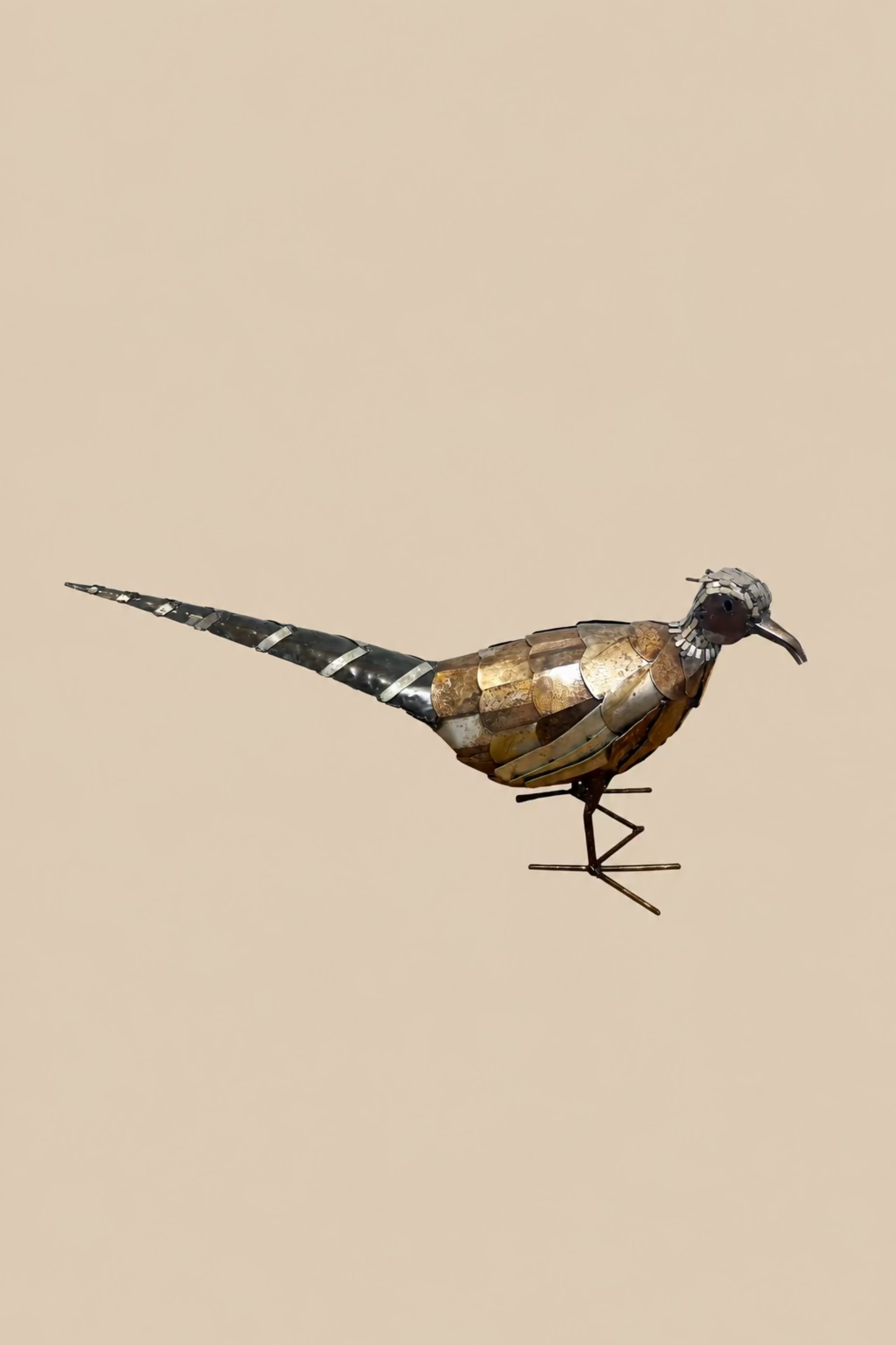 Watchful Pheasant viewed at an angle, showing its curved beak, layered wing and slender metal feet.