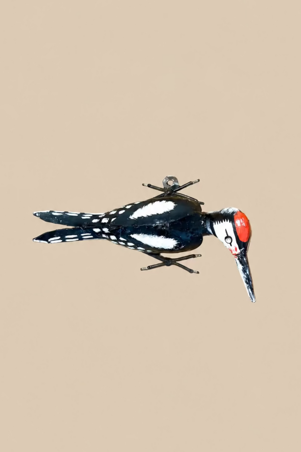Crimson-Crowned Woodpecker viewed from the side, showing its projecting beak, feet and metal body.