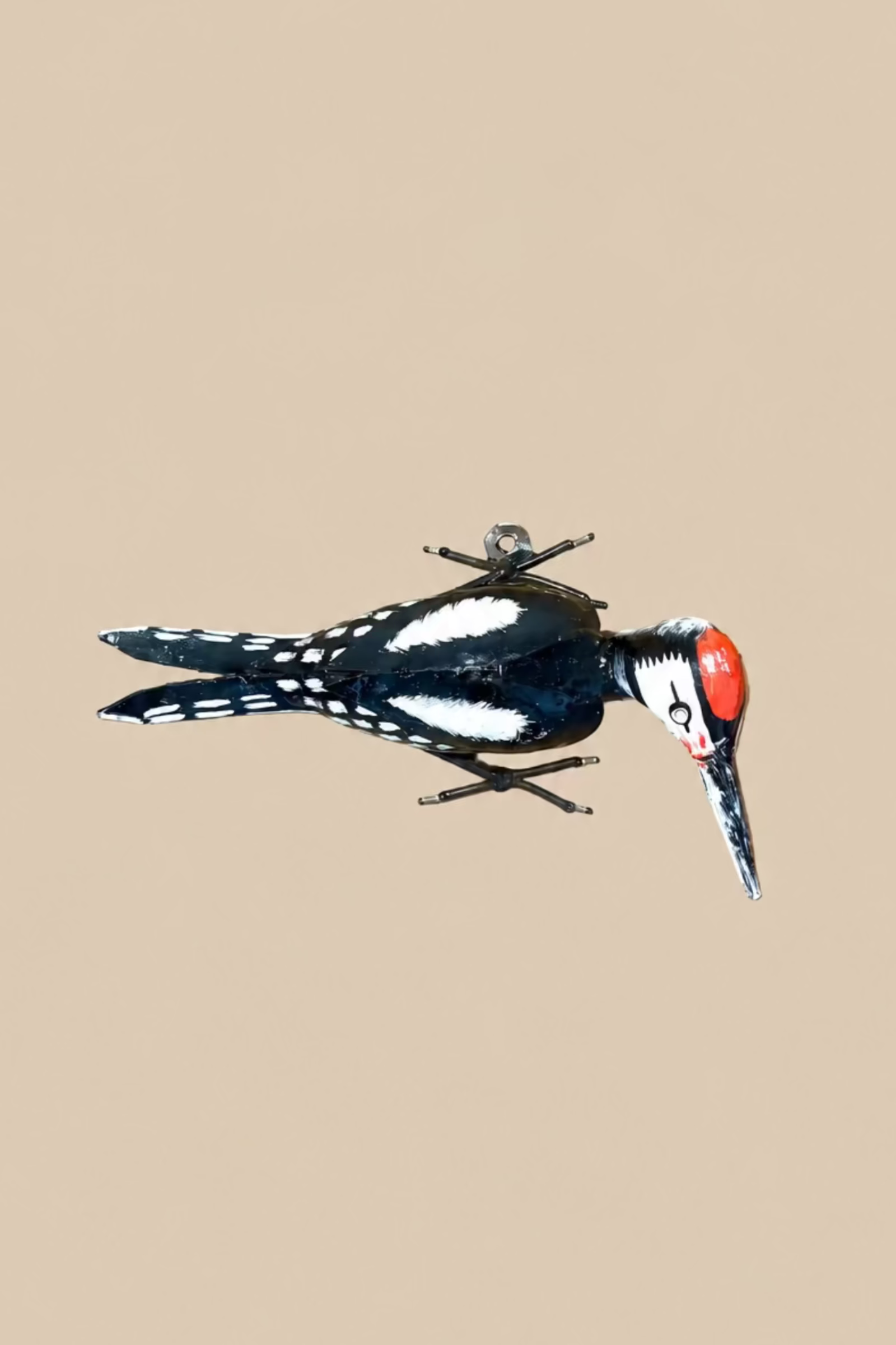 Crimson-Crowned Woodpecker viewed from the side, showing its projecting beak, feet and metal body.