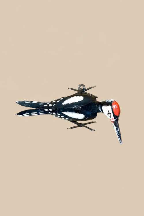Crimson-Crowned Woodpecker viewed from the side, showing its projecting beak, feet and metal body.