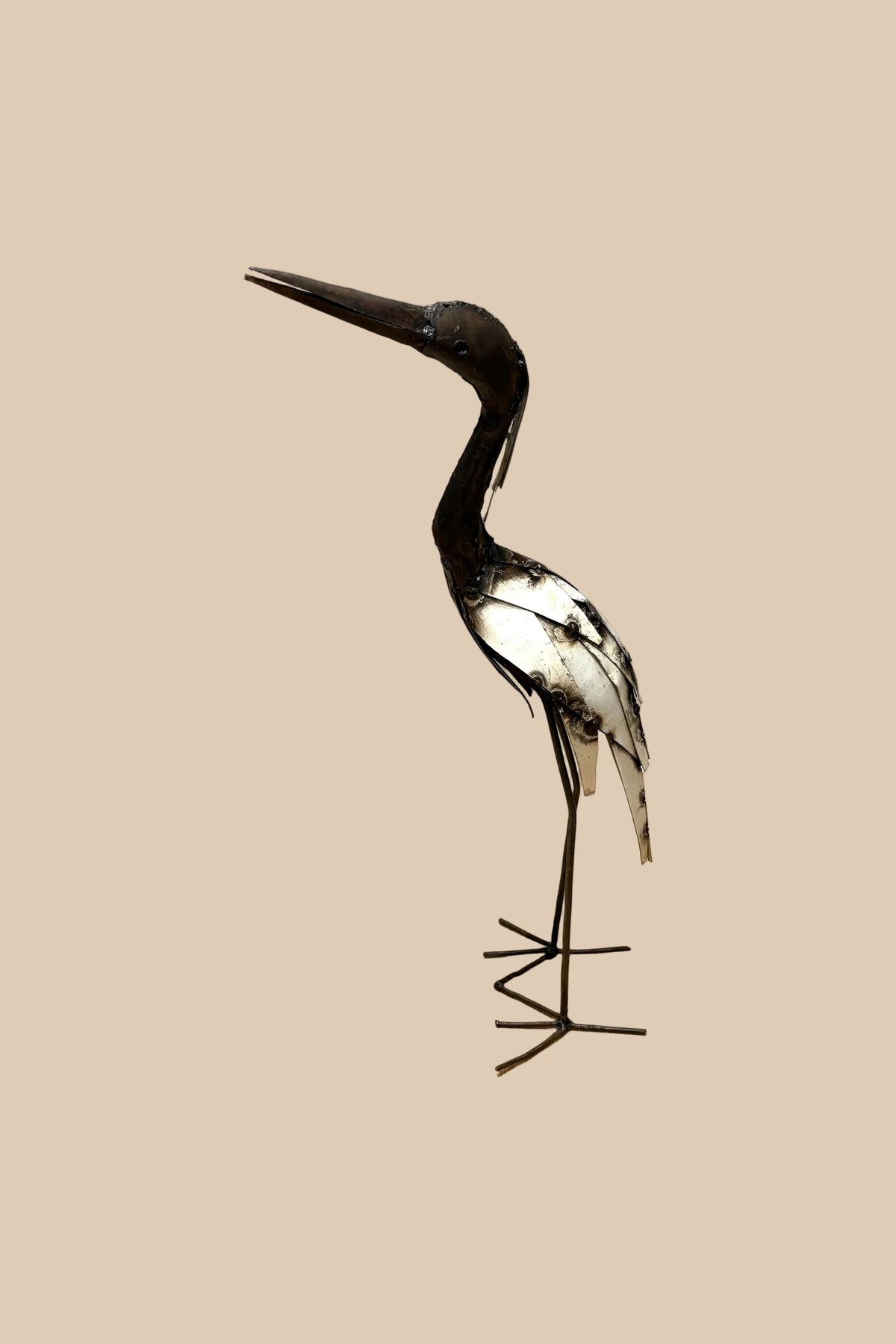 Medium Heron with a dark curved neck, cream wing panels and slender metal legs, viewed from the opposite side.