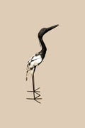 Medium Heron with a dark curved neck, cream wing panels and slender metal legs, in side profile.