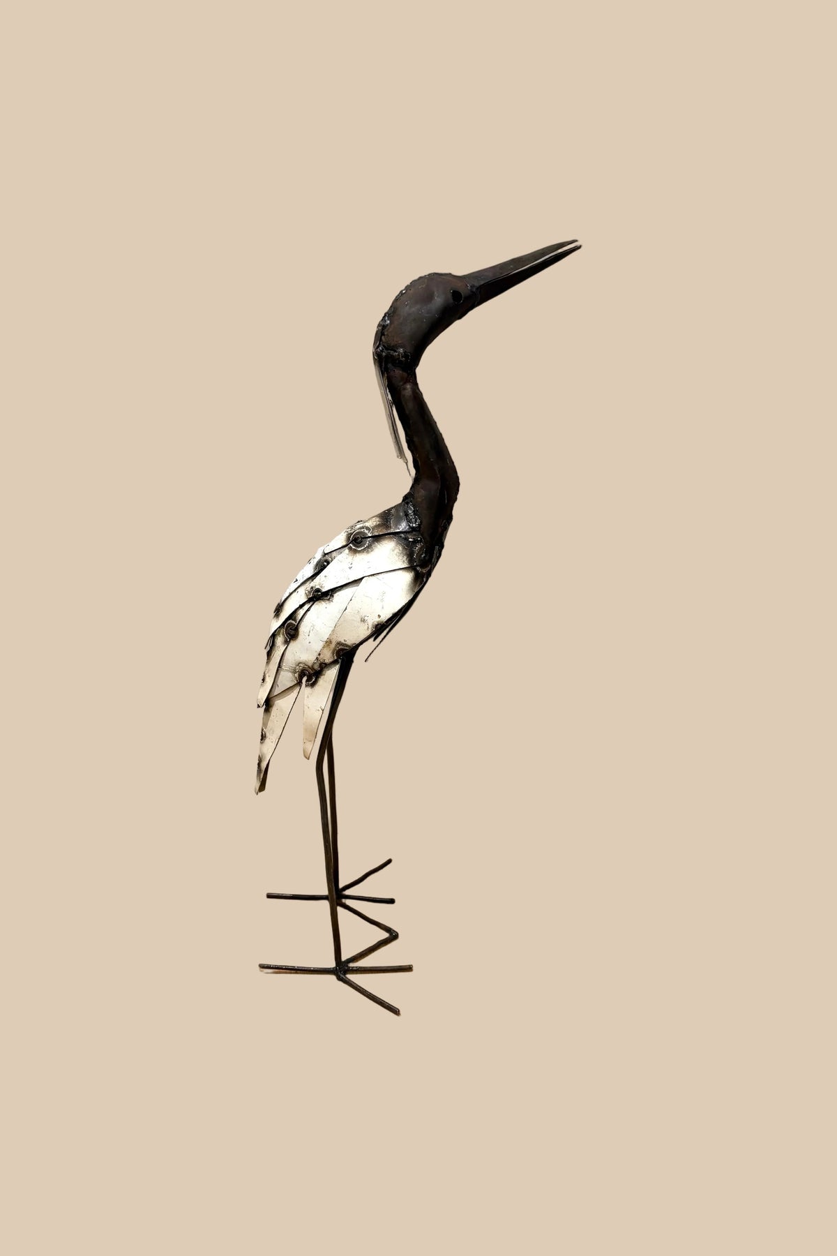 Medium Heron with a dark curved neck, cream wing panels and slender metal legs, in side profile.