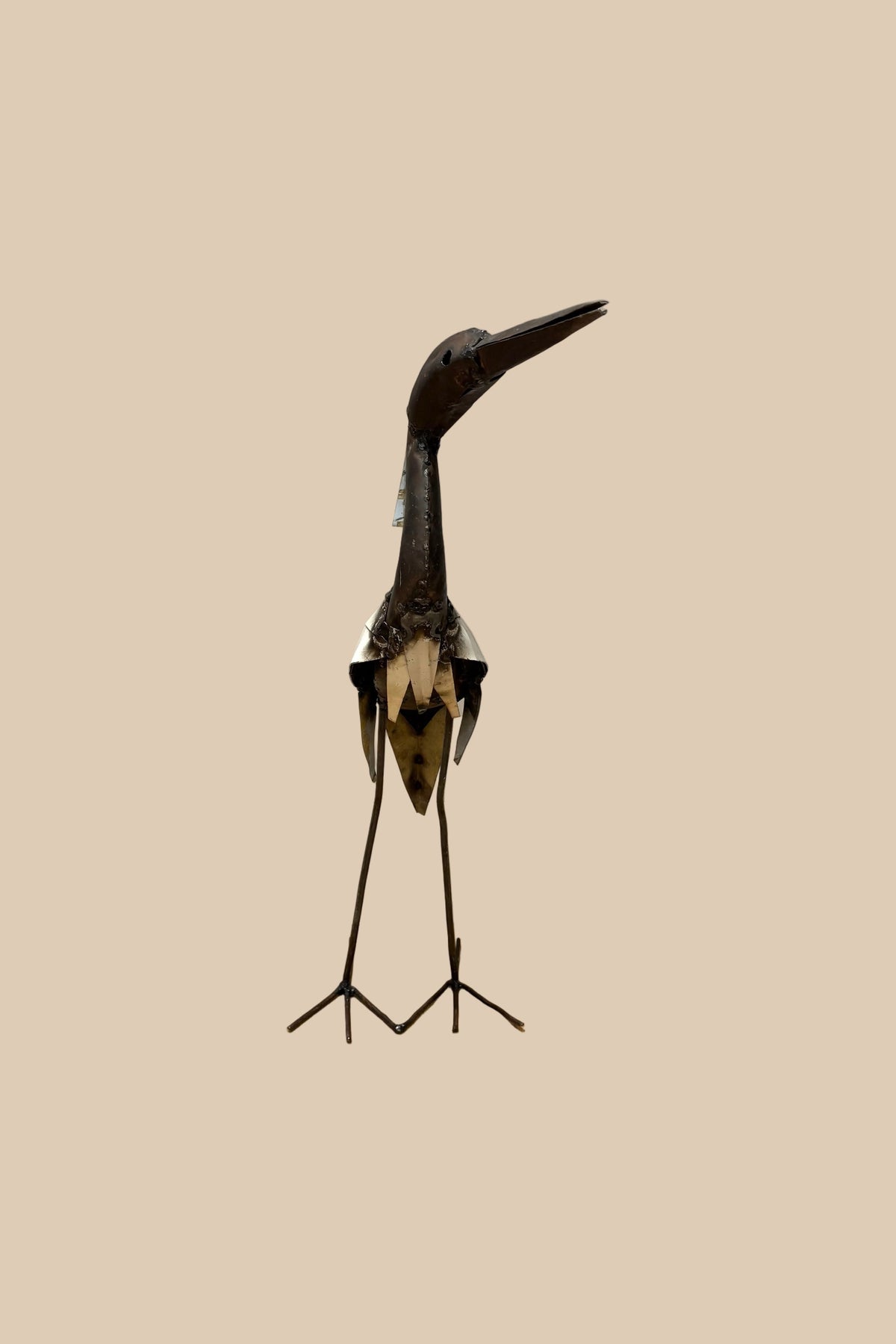Medium Heron with a dark curved neck, cream wing panels and slender metal legs, viewed from the front.